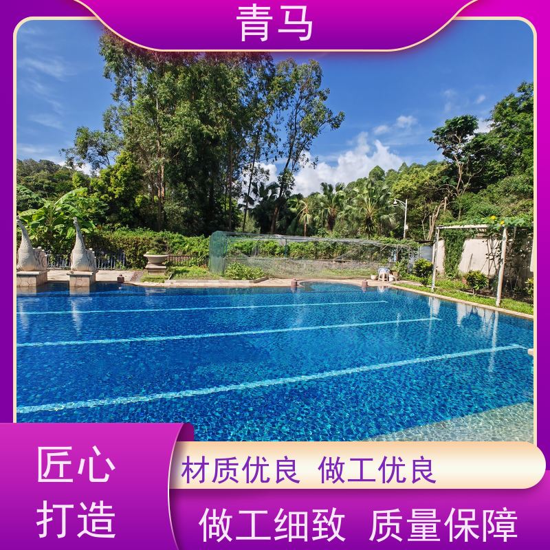 青马 海滩泳池 适用于水上乐园 现代简约 多种颜色