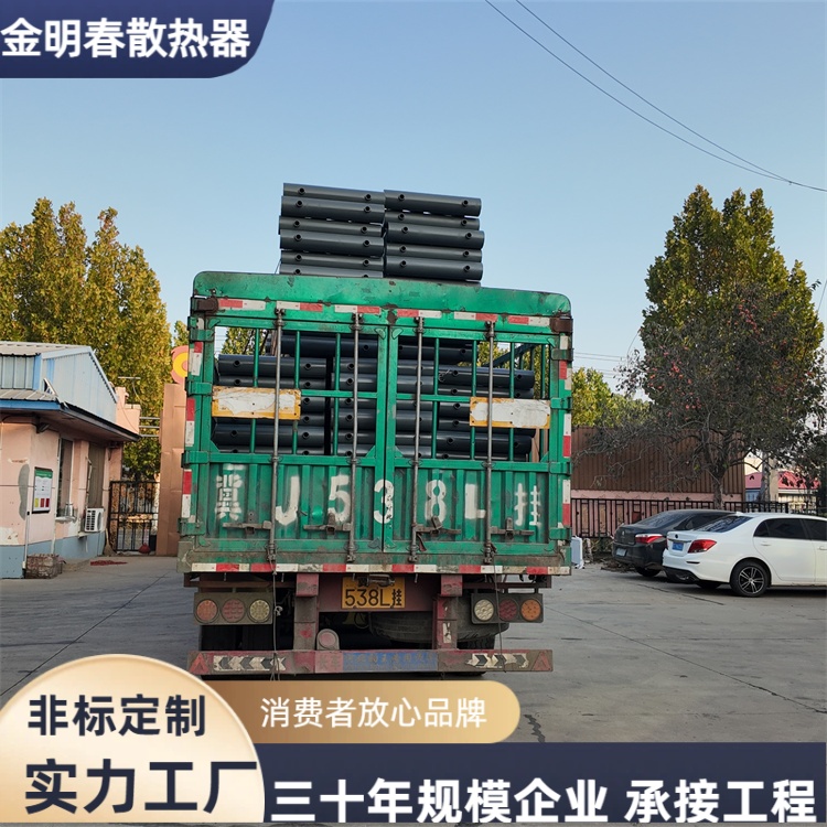 金明春 厂家 蒸汽型光排管 D89-2-4 设计灵活 应用广泛