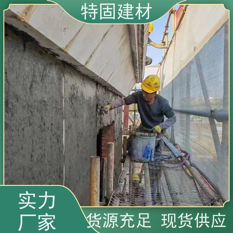 水性环氧树脂砂浆 抗渗性强 免费指导 源头工厂 特固新型建材