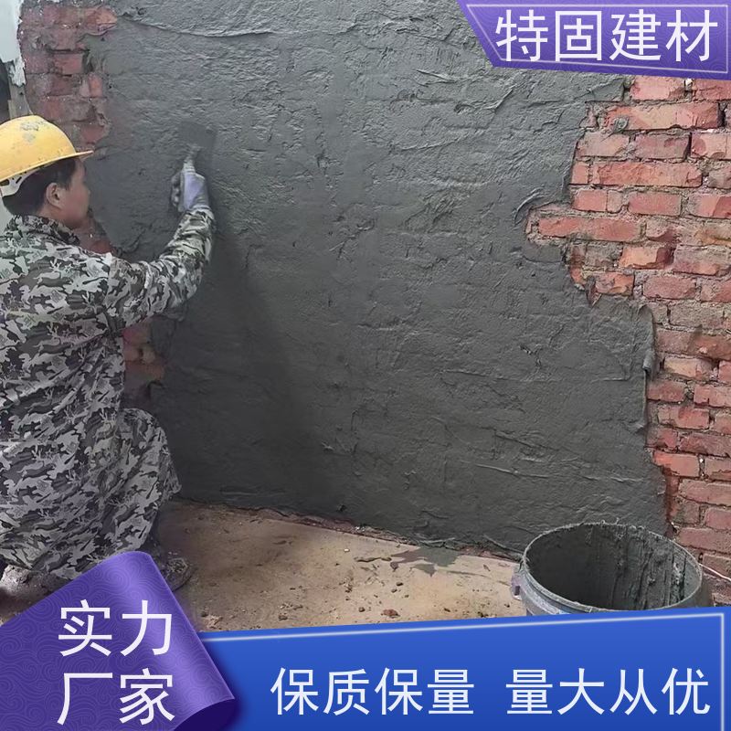 水性环氧树脂砂浆 墙面修补加固 厂家直供 特固新型建材
