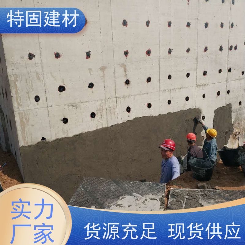 防水防腐砂浆 抗压耐磨 长期生产供应 特固新型建材