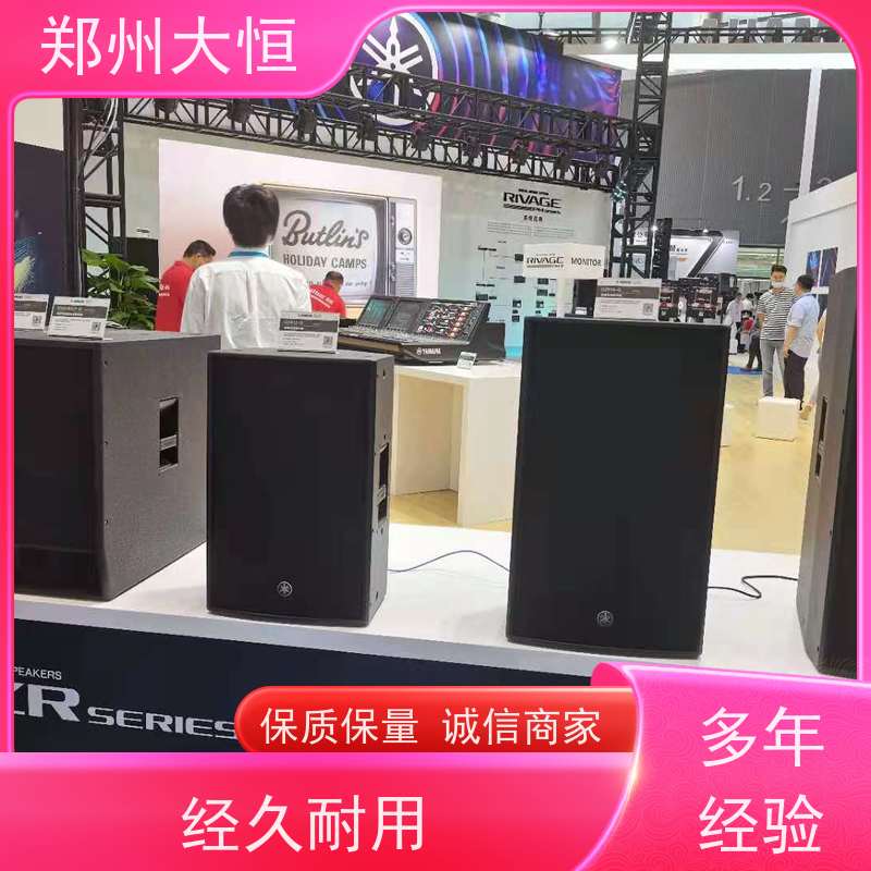 雅马哈音响 车载DSP高中低音 YAMAHA数字调音台TF7