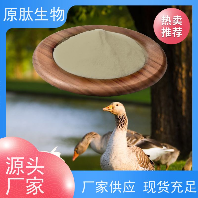 原肽生物 水解角蛋白化妆品原料 高含量 远销海外