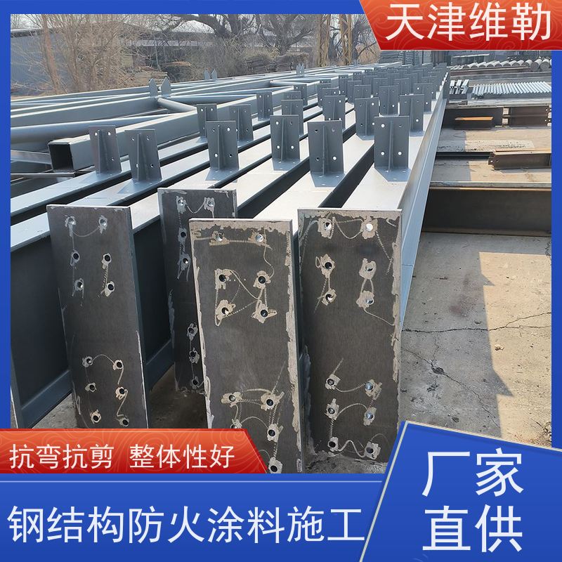 天 津维勒 学校钢结构 喷漆刷漆除锈 加工成型方便
