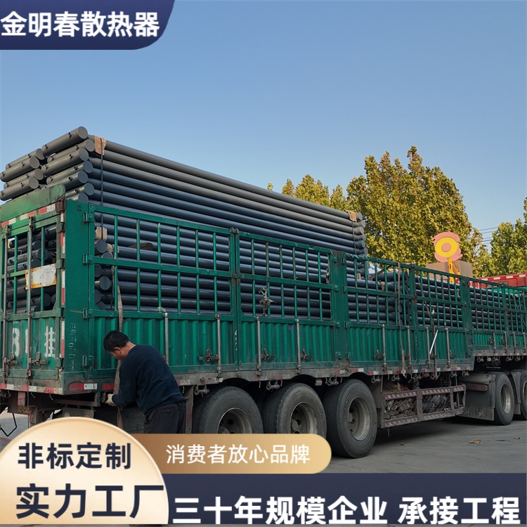 金明春 源头厂家 光面管换热气 效率高污染小 种类齐全