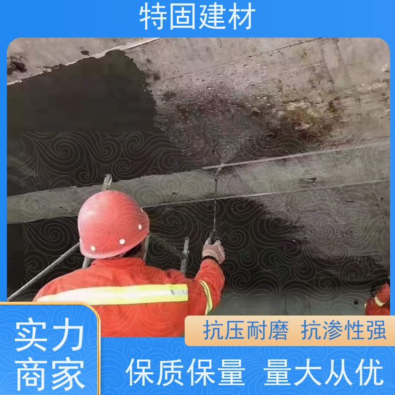 聚合物防水砂浆 流动性能强 厂家直供 特固建材