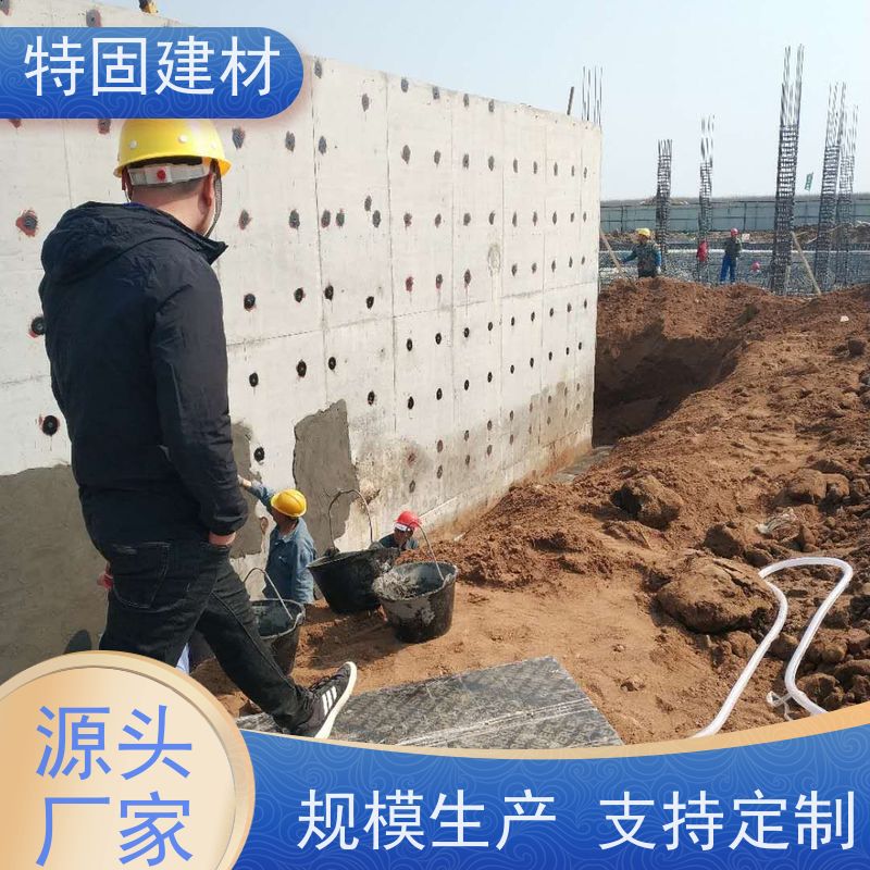 环氧树脂修补砂浆 耐酸碱耐腐蚀 厂家直供 特固建材