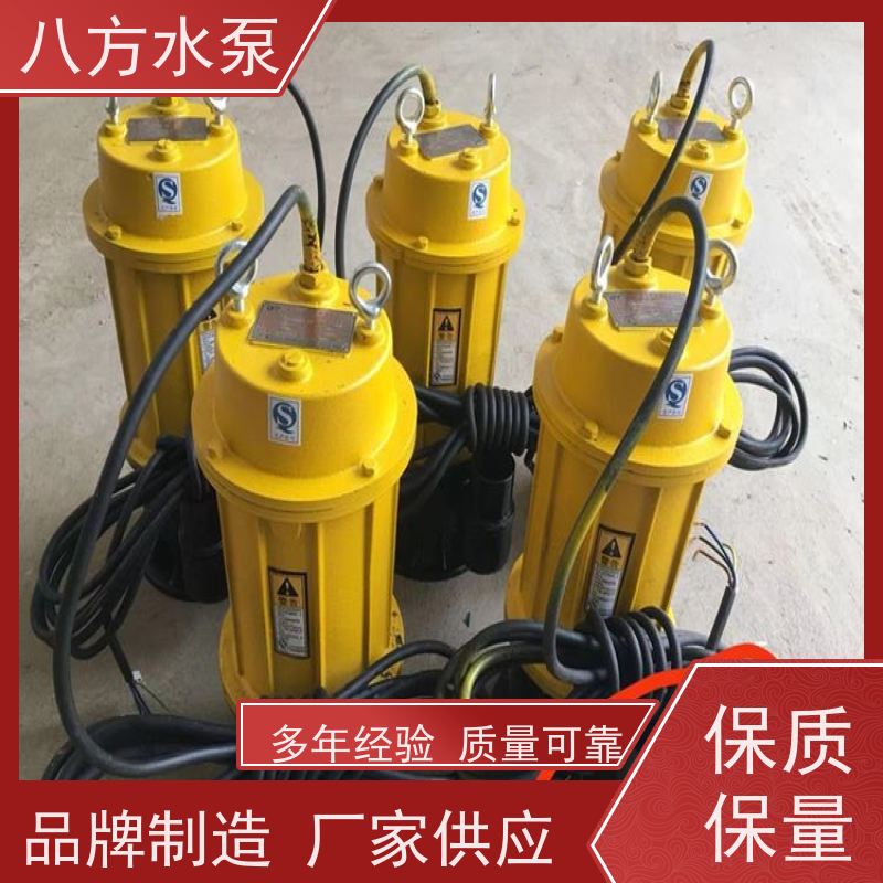 八方水泵 高杨程污水提升泵 城乡集中供水系统增压设备