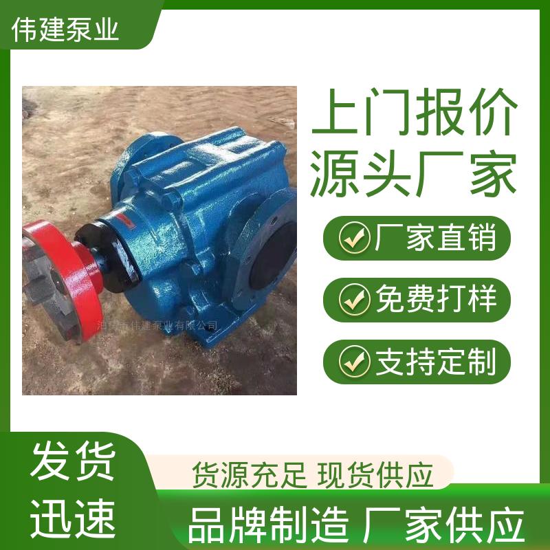 伟建供应 废机油输送用 不锈钢齿轮泵 电动抽油式 规格齐全