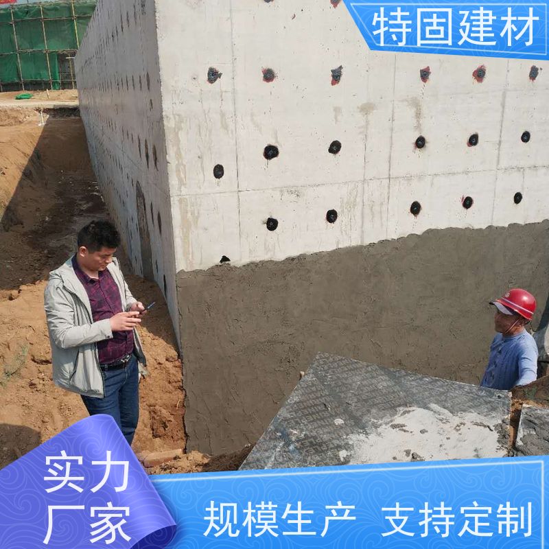 环氧树脂修补砂浆 防渗透耐酸碱 产地货源 常年供应 特固新型建材