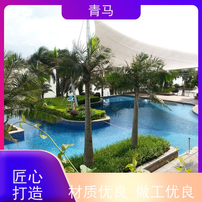 青马 水上乐园泳池 适用于别墅 设计 施工 维护 一站式服务