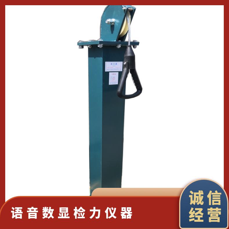 YSJ-20型语音数显检力仪器材质不锈钢 砣重20公斤