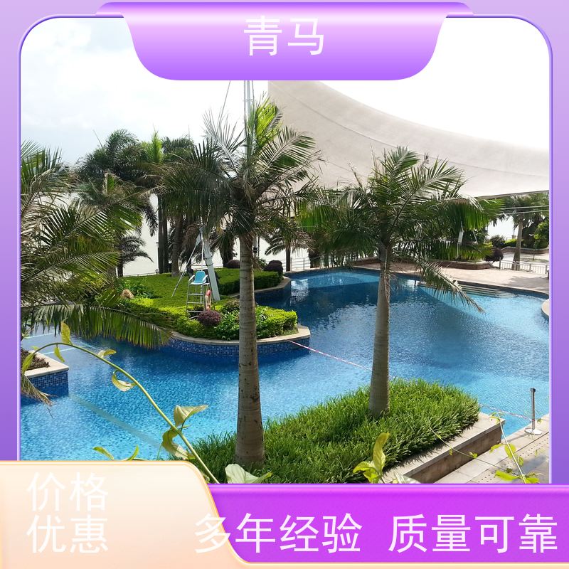 青马 社区游泳池 适用于别墅 按需定制 免费测量