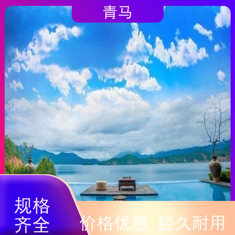 青马 儿童游泳池 适用于健身俱乐部 设计 施工 维护 一站式服务