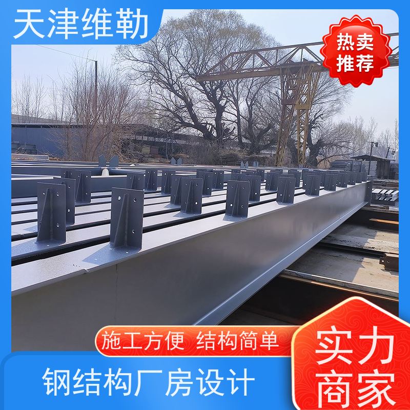 天 津维勒 钢结构温室 防火涂料喷涂 空间利用率高