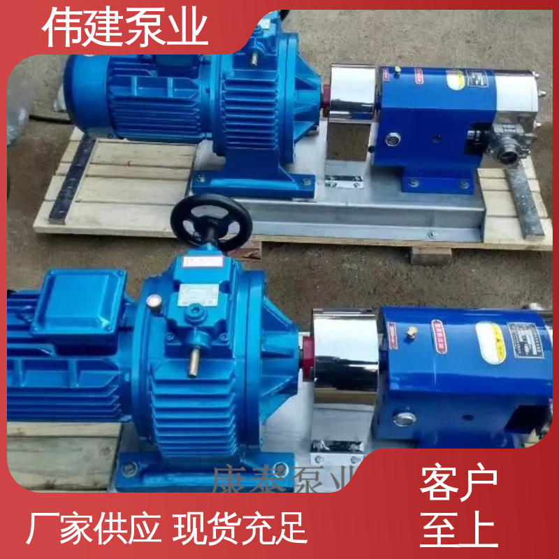 碳素合金钢材质 防止拉丝或断流 计量精准 麦芽糖浆泵 伟建定制