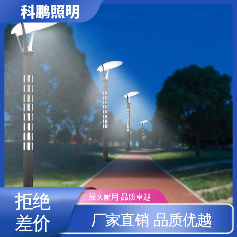 省时省力 广场路灯 水池湖泊等水体 种类款式多样选择 科鹏照明