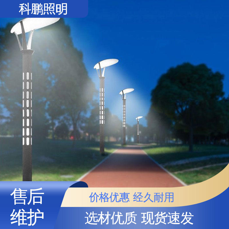 庭院太阳能路灯 无惧暴雨天气 建筑立面照亮 省时省力 科鹏照明