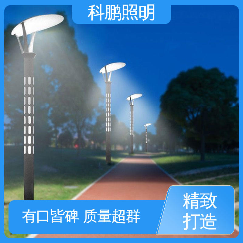 科鹏照明 建筑立面照亮 光能路灯 无惧暴雨天气 美观实用