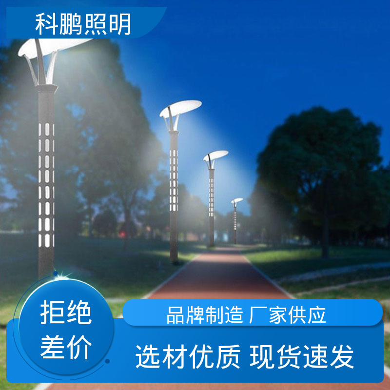 科鹏照明 水池湖泊等水体 市政路灯 种类款式多样选择 铝合金材质