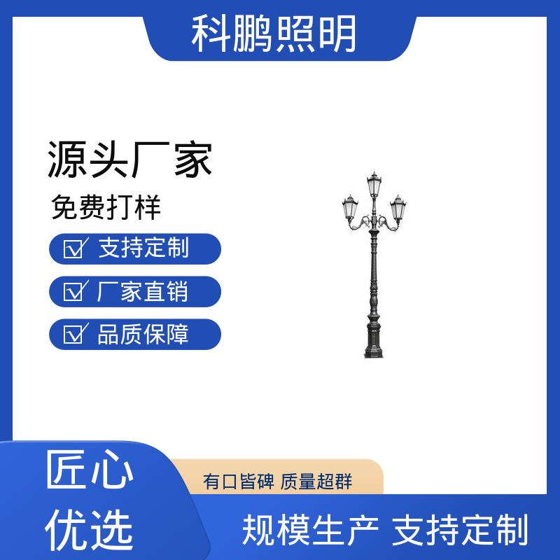 科鹏照明 建筑立面 安装操作方便 长期保持光亮 高亮庭院灯