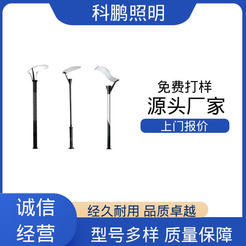 无惧暴雨天气 水池湖泊等水体 美观实用 灯路灯 科鹏照明