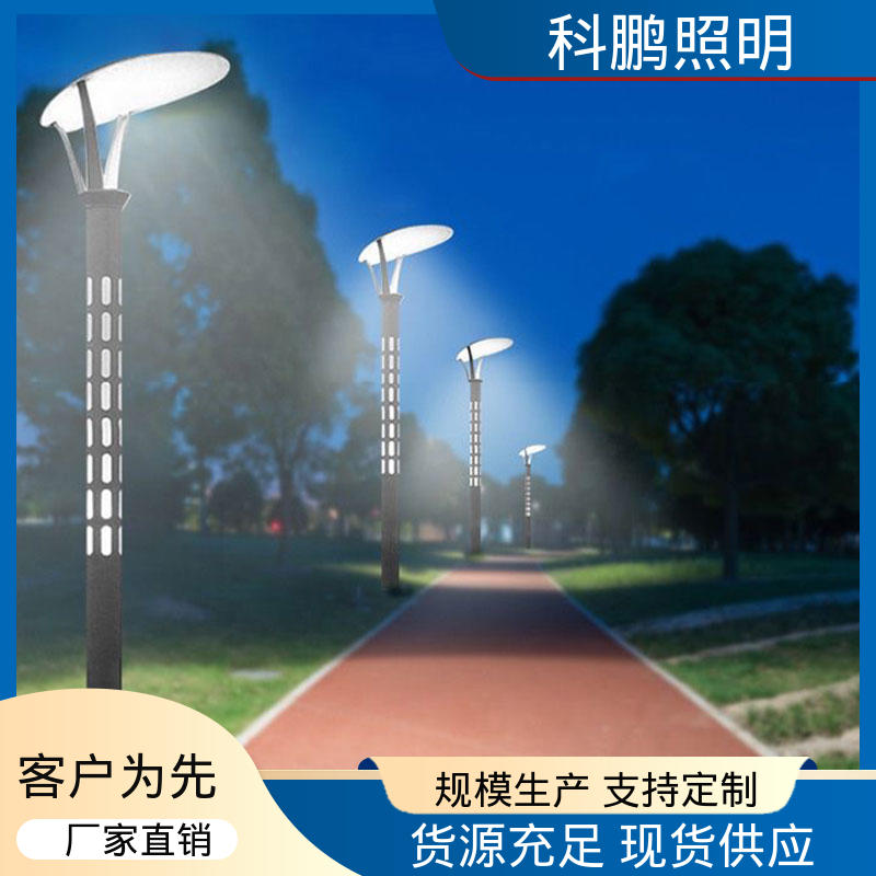 科鹏照明 水池湖泊等水体 省时省力 种类款式多样选择 庭院灯路灯