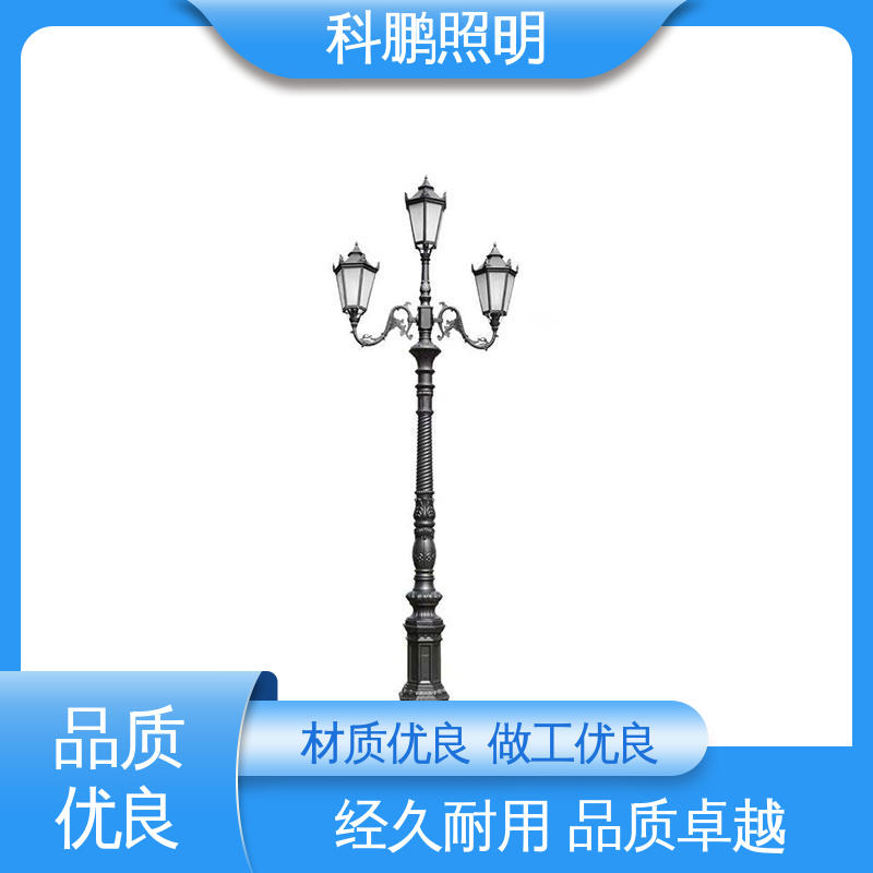 广场庭院灯 水池湖泊 免打理安装简单 长期保持光亮 科鹏照明