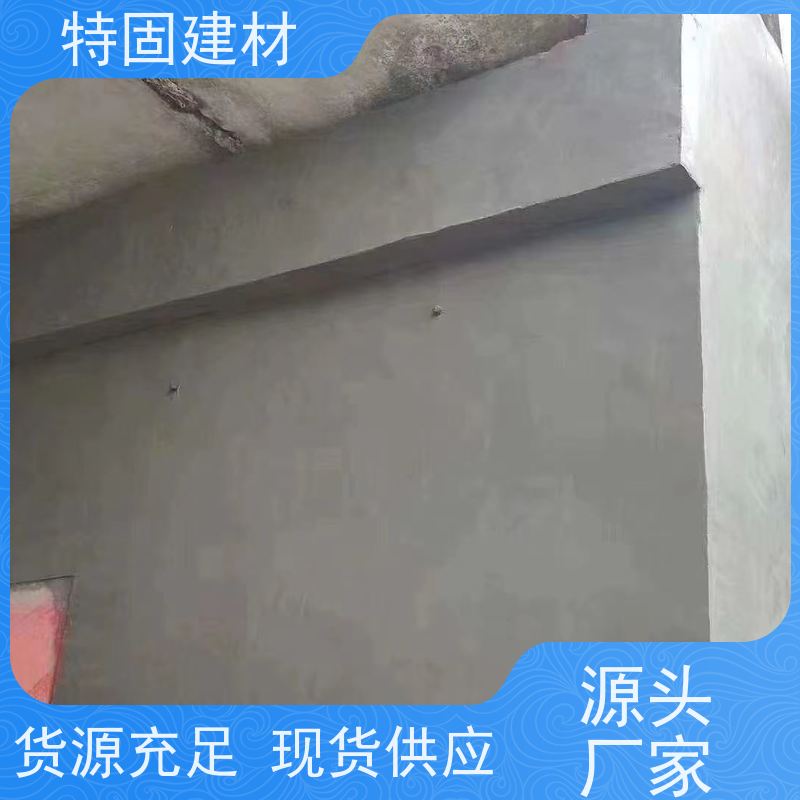 环氧树脂修补砂浆 流动性能强 厂家直供 特固新型建材