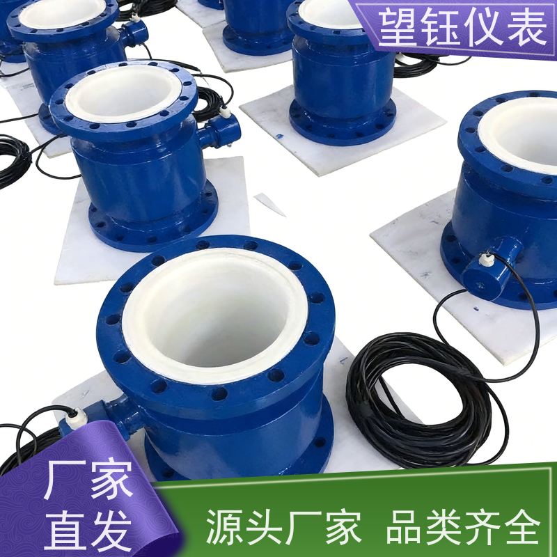 望钰DN20/DN25远传电磁流量计 RS485通讯 厂家供应
