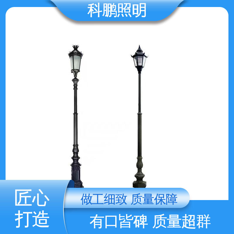 防腐性能光照柔和 建筑立面 长期稳定运行 山水庭院灯 科鹏照明