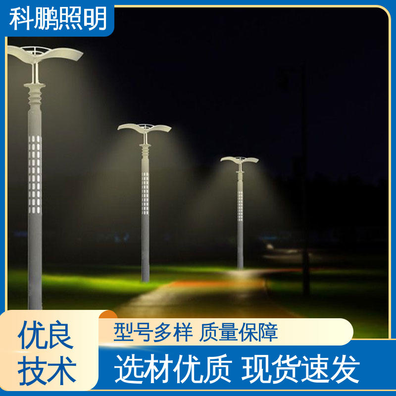 科鹏照明 不锈钢路灯 抗腐蚀性耐候性 建筑立面照亮 美观实用