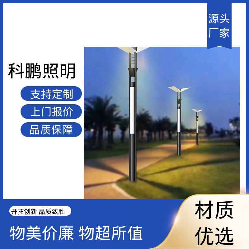 水池湖泊等水体 道路灯 无惧暴雨天气 省时省力 科鹏照明