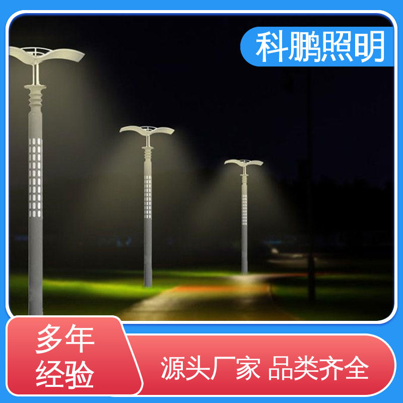 智能路灯 水池湖泊等水体 美观实用 抗腐蚀性耐候性 科鹏照明