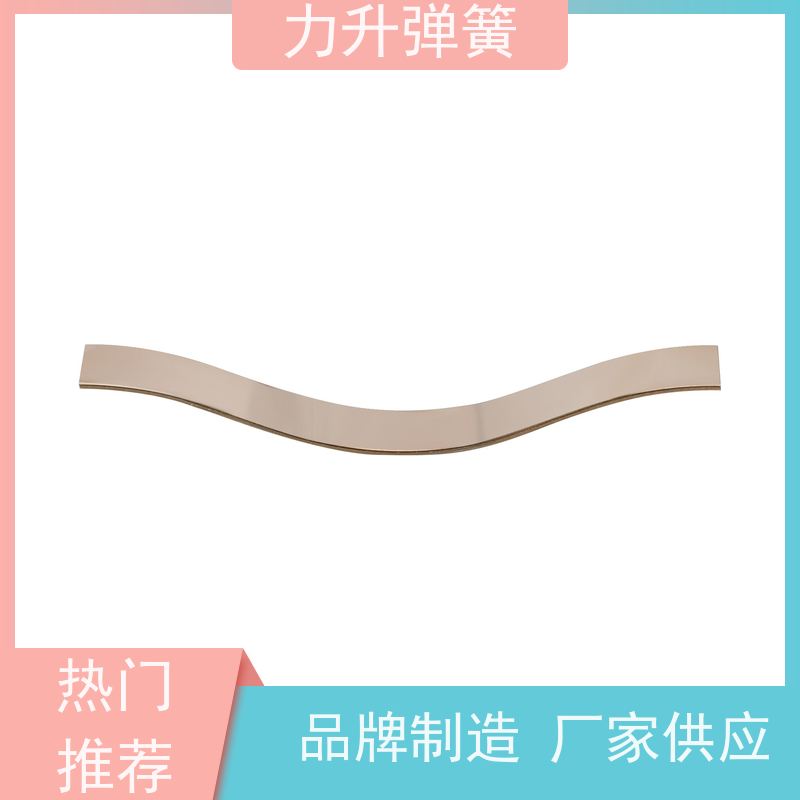 双层波形弹簧 来图来样 加工设计 库存充足 厂家供应力升