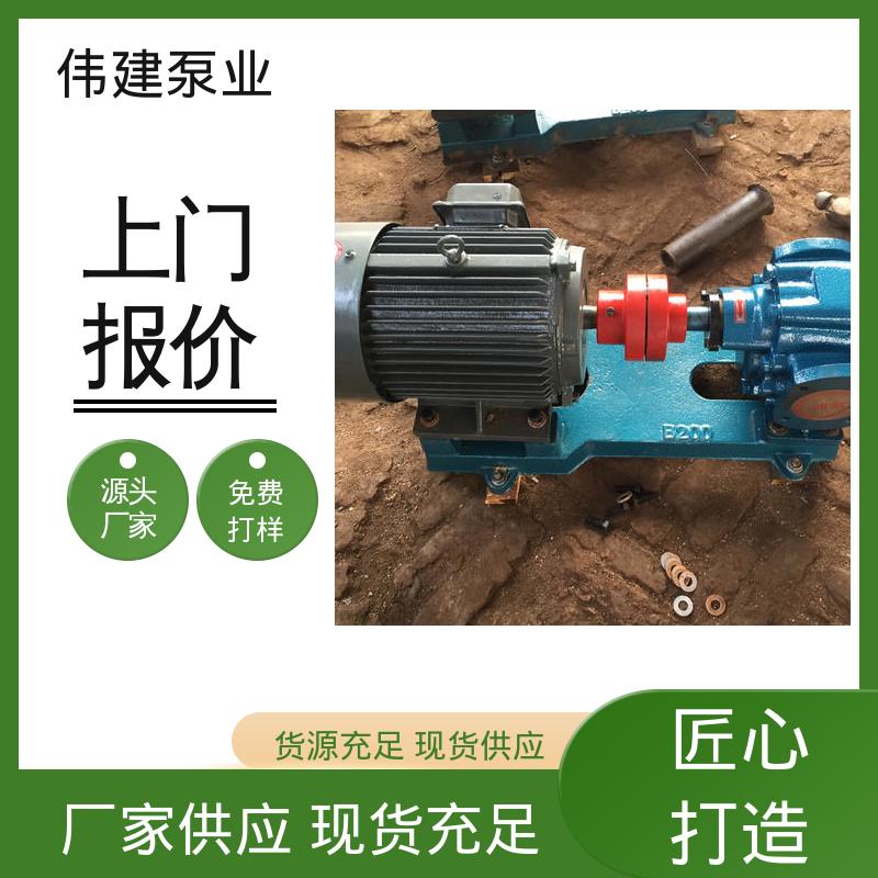 伟建供应 电动抽油式 可调式渣油泵 支持定制 重油输送用