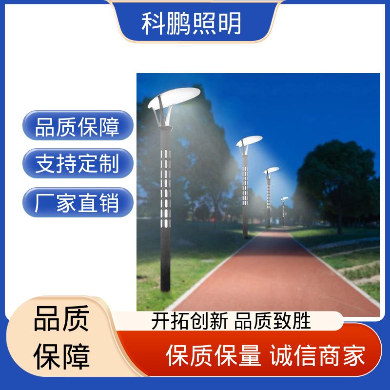 科鹏照明 稳定运行品质优良 美观实用 智慧路灯 建筑立面照亮