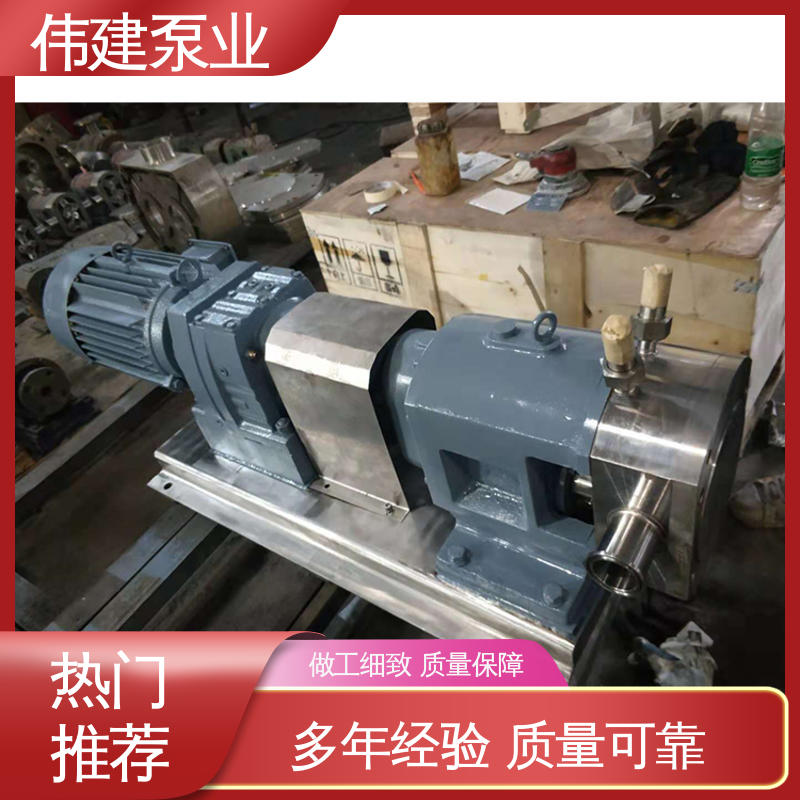 伟建生产 稳定推送 碳素合金钢材质 计量精准 高粘度物料输送泵