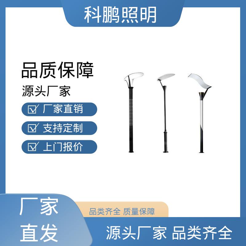 种类款式多样选择 智能路灯 建筑立面照亮 铝合金材质 科鹏照明