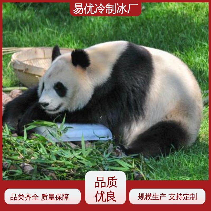 易优冷 50 公斤冰块 屠宰场食材保鲜专用配送