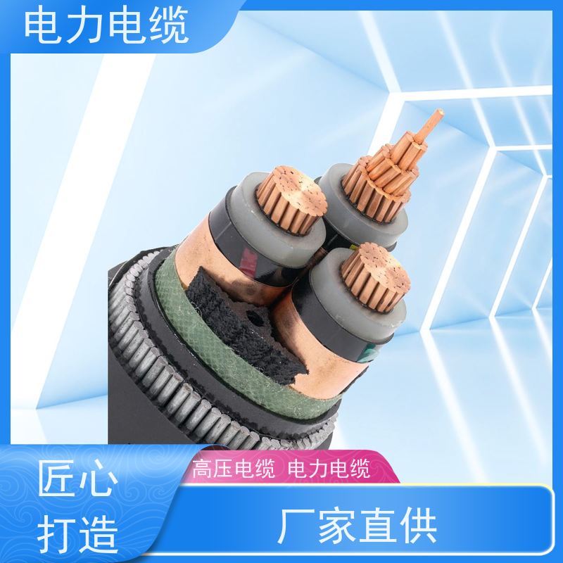 天康 钢带铠装电力电缆 传输速率 12mbps 源头工厂 规格齐全
