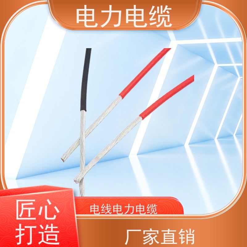 天康 护套电力电缆 额定电压 450v 实力工厂 质量保障