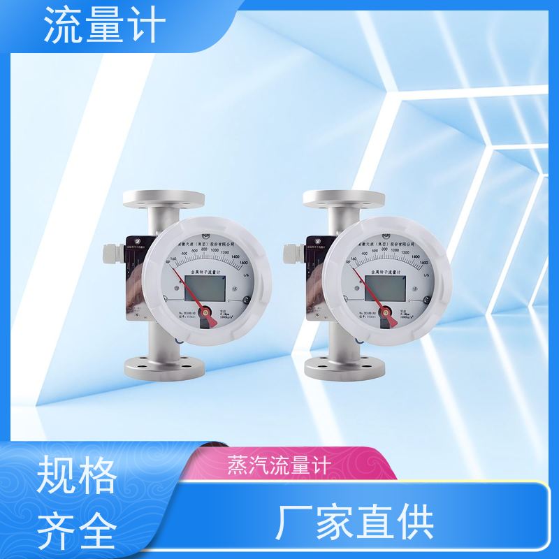 天康 高精度流量计 公称通径 dn1200 实力工厂 做工细致
