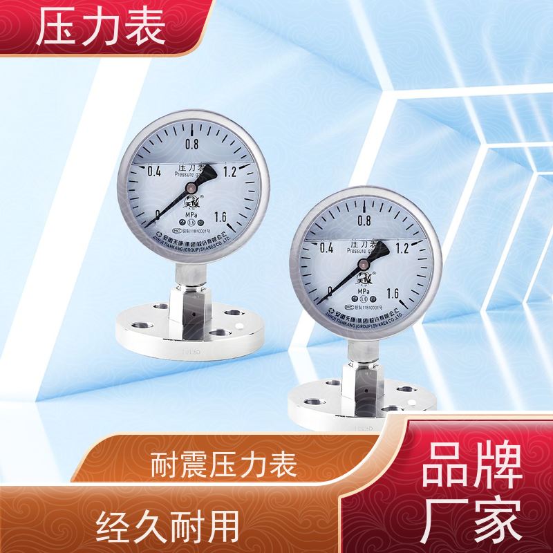 天康 径向压力表 环境温度 100℃ 批发 源头厂家 质量保障