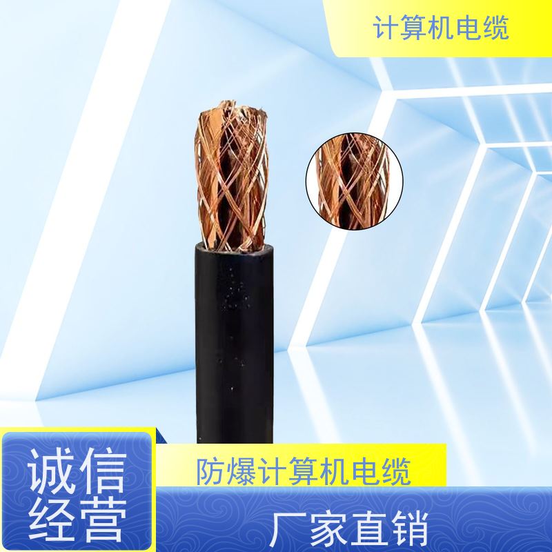 天康 双绞屏蔽计算机电缆 截面2.7-400mm2 厂家制造 优选材质