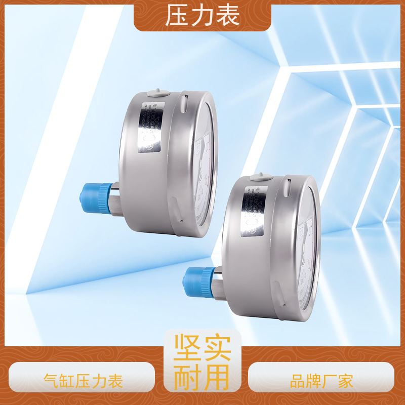 天康 进口压力表 公称直径 60mm 批发 实力厂家 品质优越