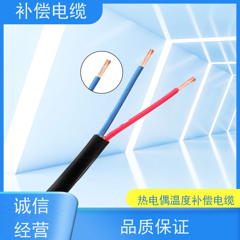 天康 仪表补偿电缆 绝缘厚度 0.7mm 源头工厂 支持定制