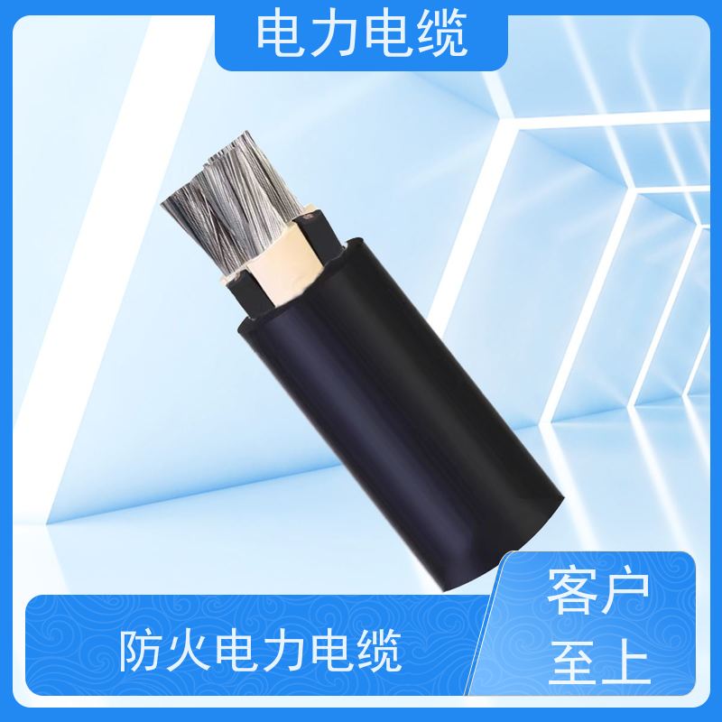 天康 护套电力电缆 电线外径 1.6mm 实力工厂 质量保障