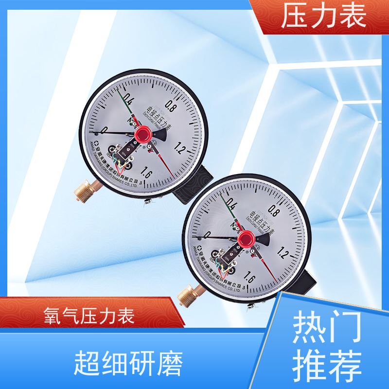 天康 气瓶压力表 环境温度 100℃ 批发 厂家制造 品类齐全