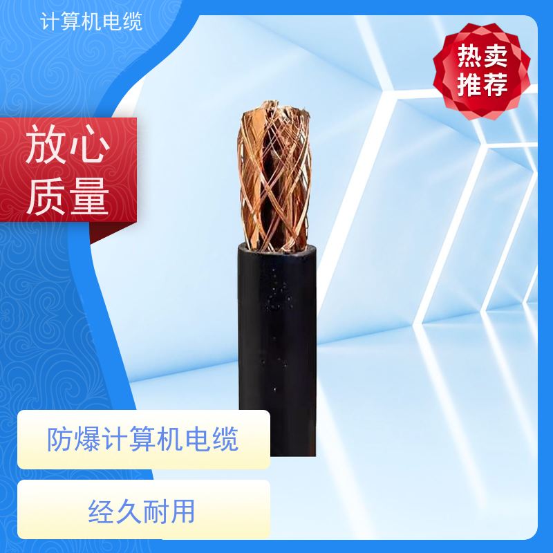 天康 阻燃型计算机屏蔽电缆 截面2.7-400mm2 厂家制造 优选材质